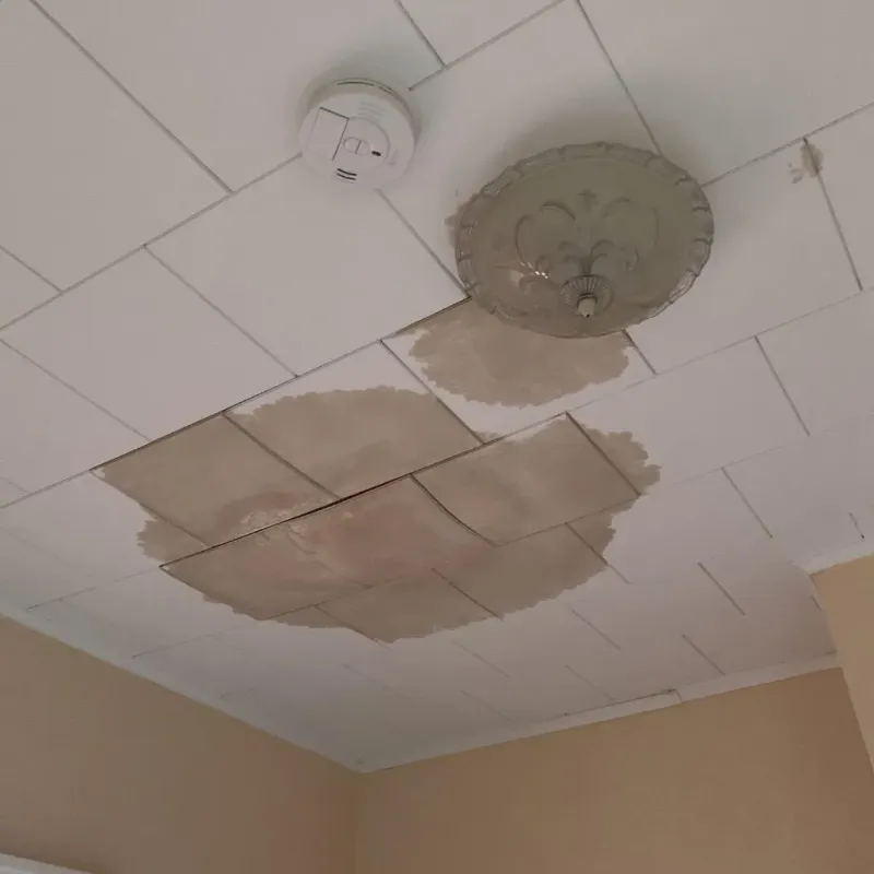 Ceiling Water Damage Repair in Winona, MS
