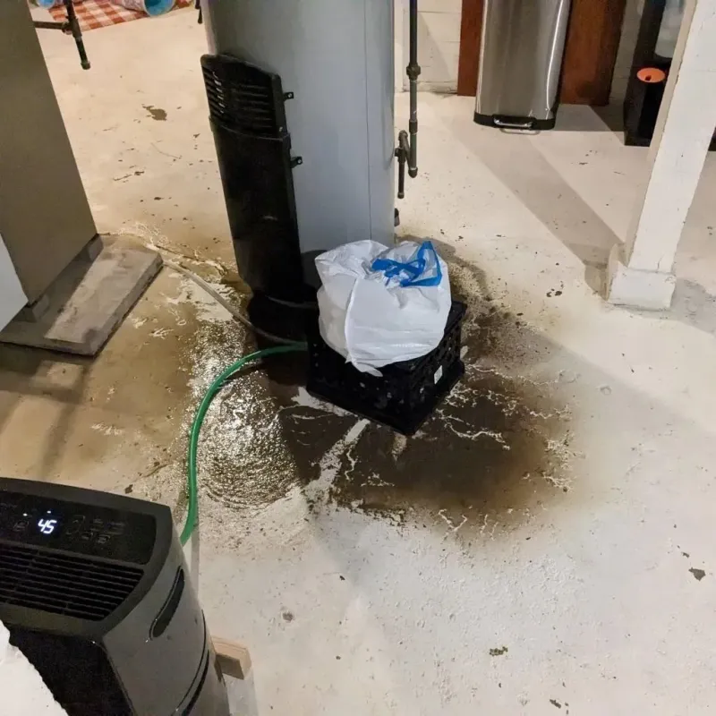 Sewage Backup Cleanup Service in Winona, MS